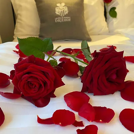 Driehof Lifestyle 1 מלון *