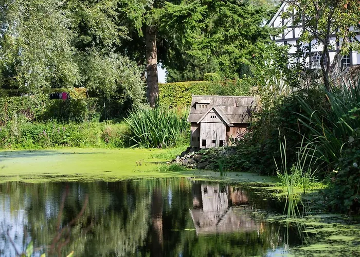 Hotel Driehof Lifestyle 1 *