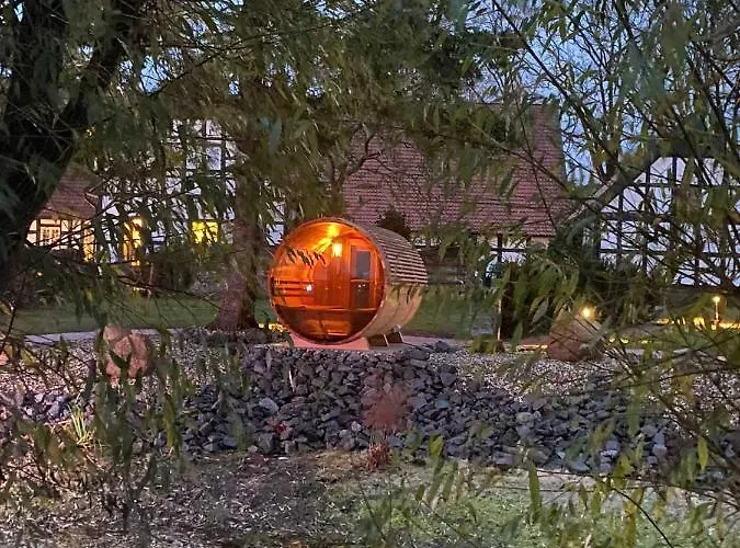 Hotel Driehof Lifestyle 1 *