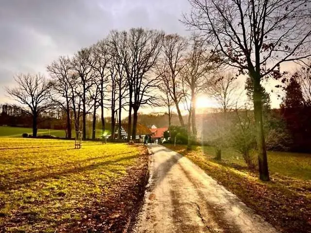 Hotel Driehof Lifestyle 1 *