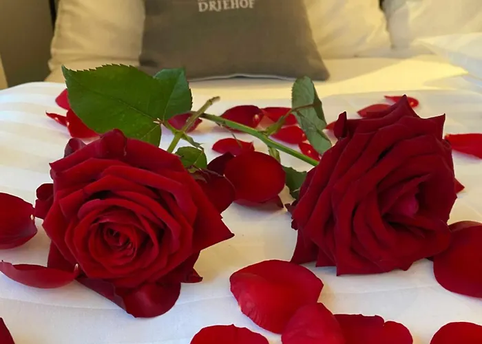 Driehof Lifestyle 1 Hotel *